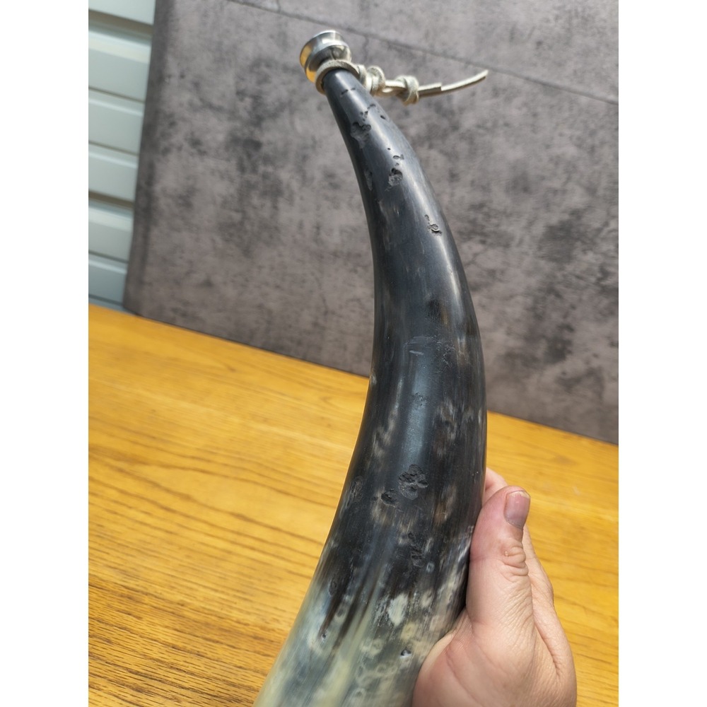 Vintage Steer Bull Powder Horn